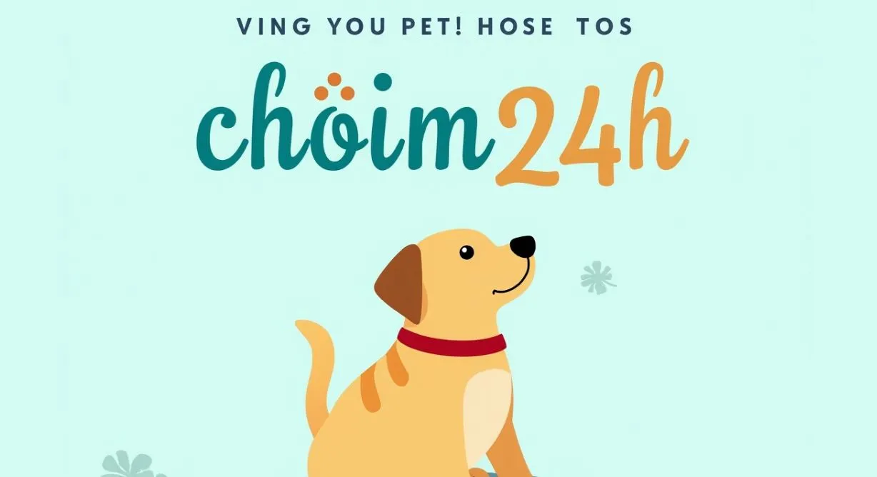 chóim24h