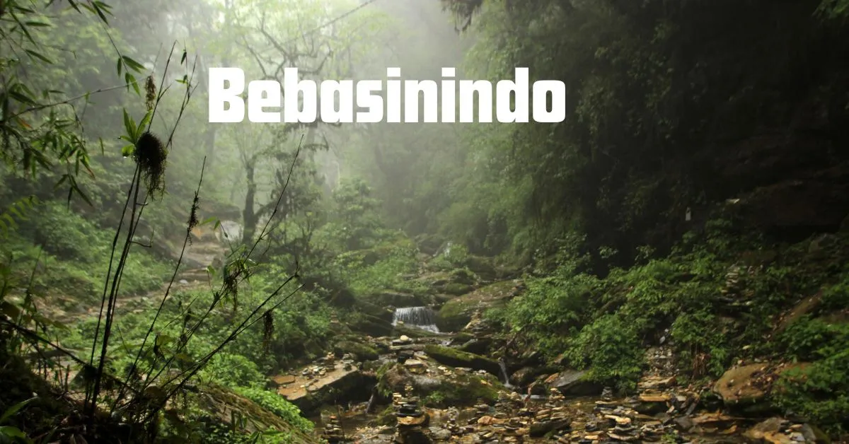 Bebasinindo
